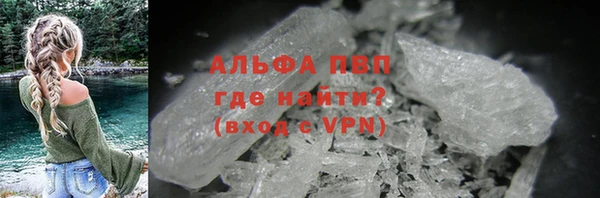 стаф Касимов