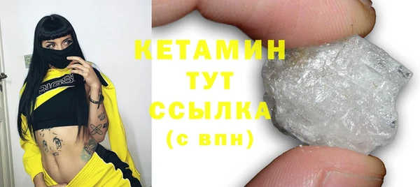 стаф Касимов