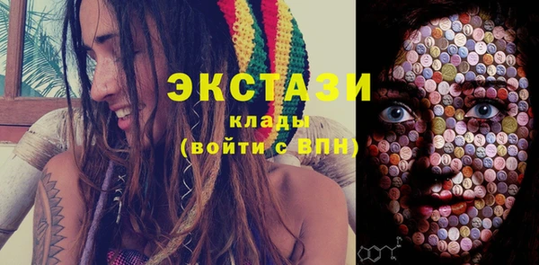 стаф Касимов