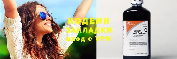 стаф Касимов
