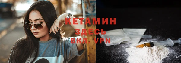 стаф Касимов